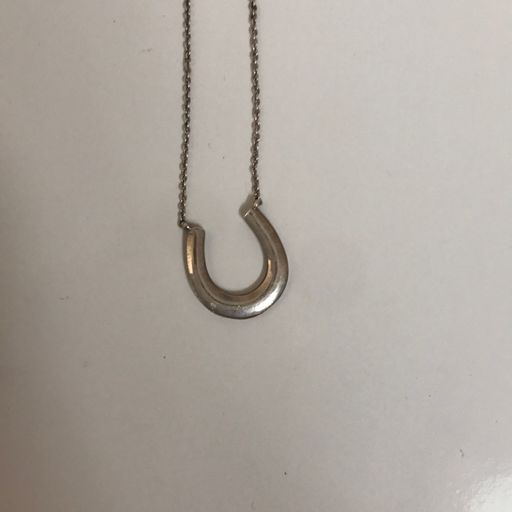 Rare horseshoe Tiffany necklace